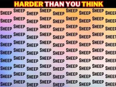 A High IQ Optical Illusion Game In Which You Must Find The Hidden Word Sheet Amongst A Sea Of Sheep