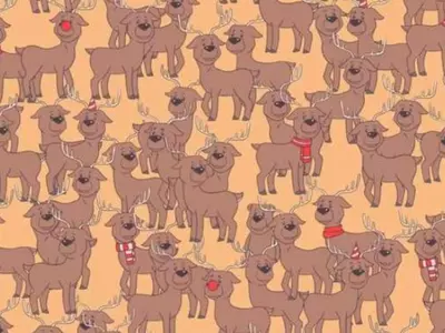 Can You Spot The Bear Among The Deers In 11 Seconds 