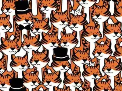Optical Illusion: Spot The Cats Hiding Among Tigers In 10 Seconds 