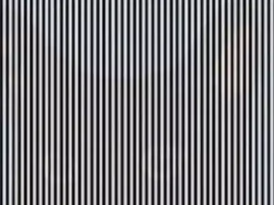 Find Hidden Animal In These Straight Lines Using High IQ Optical Illusion