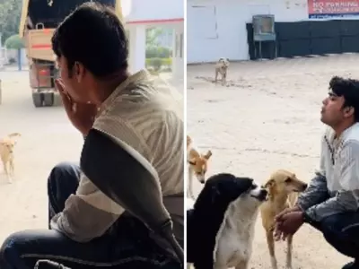 In A Viral Video, A Man Mimics The Sound Dogs Make, Impressing The Internet