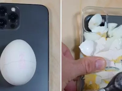 Influencer Crushes Egg On Apple Iphone In Viral Video, With Over 3 Million Views