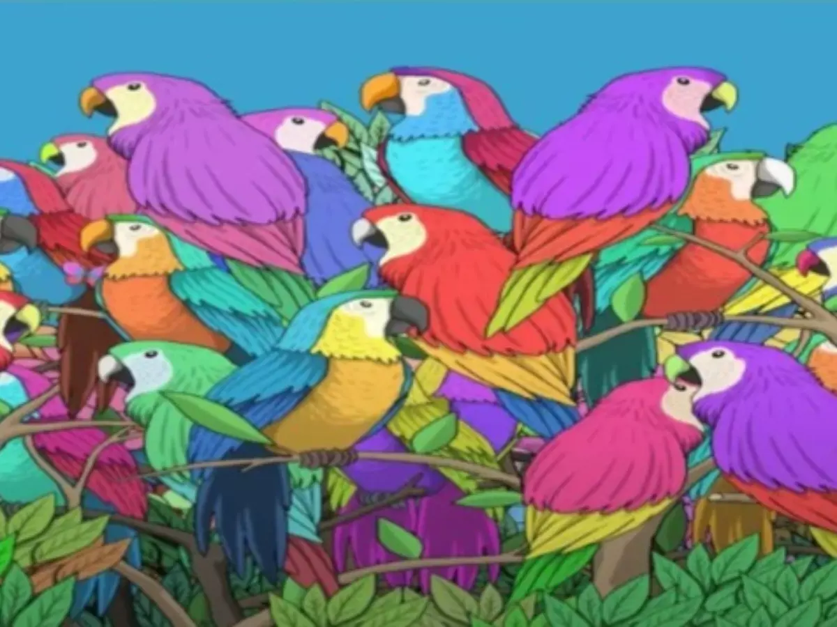 Its An Optical Illusion That Lets You See Colorful Birds But You Need To Find The Hidden Butterfly Within It