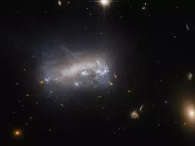 NASA's Hubble Telescope Captures Virgo Galaxy Cluster
