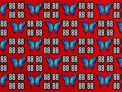 Optical Illusion Find The Number 80 Among 88 In 8 Seconds