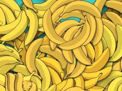Optical Illusion Spot The Hidden Snake Among The Bananas
