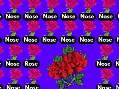 Optical Illusion Spot The Word Rose Among Nose
