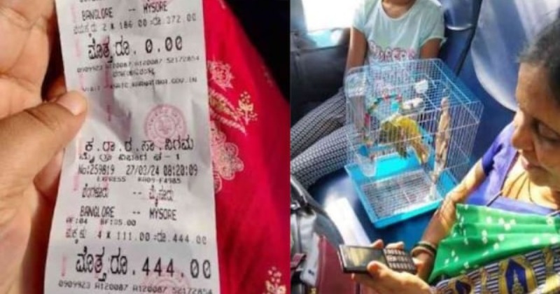 Bus Conductor Sells Rs 444 Tickets To Parrots En Route From Bengaluru To Mysore