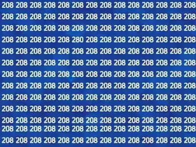 The Secret Number 280 Can Be Found In The Sea Of 208 In This Optical Illusion With High IQ