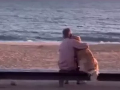 This Video Of An Elderly Couple And Their Dog Watching The Sunset Melts The Internet Watch It Now