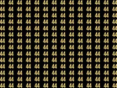 You Need To Spot The Hidden Number 45 In The Sea Of 44s In This Optical Illusion With High IQ