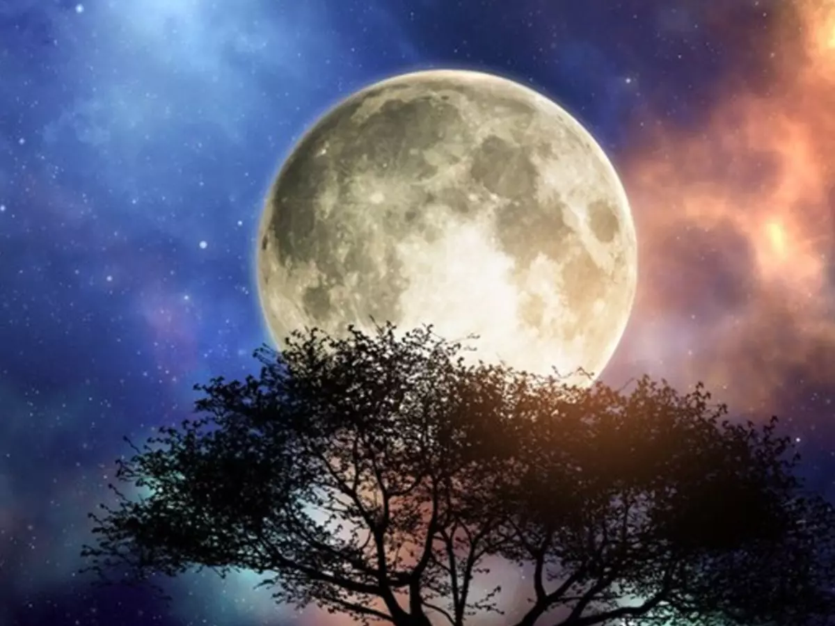 Amavasya 2024 Date Amavasya 2024 Date