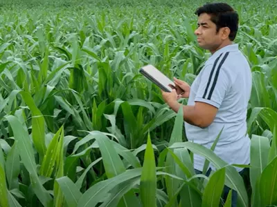 'I Got Bored', Indian CEO Quits Rs 1 Crore Microsoft Job To Launch Startup For Farmers