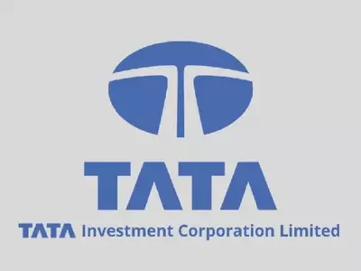 Not TCS Or Tata Motors, This Tata Group Stock Is India's Best Performing Share This Year