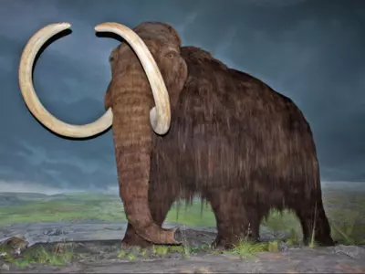 De-Extinction Of Woolly Mammoth Gets One Step Closer, Through Elephants