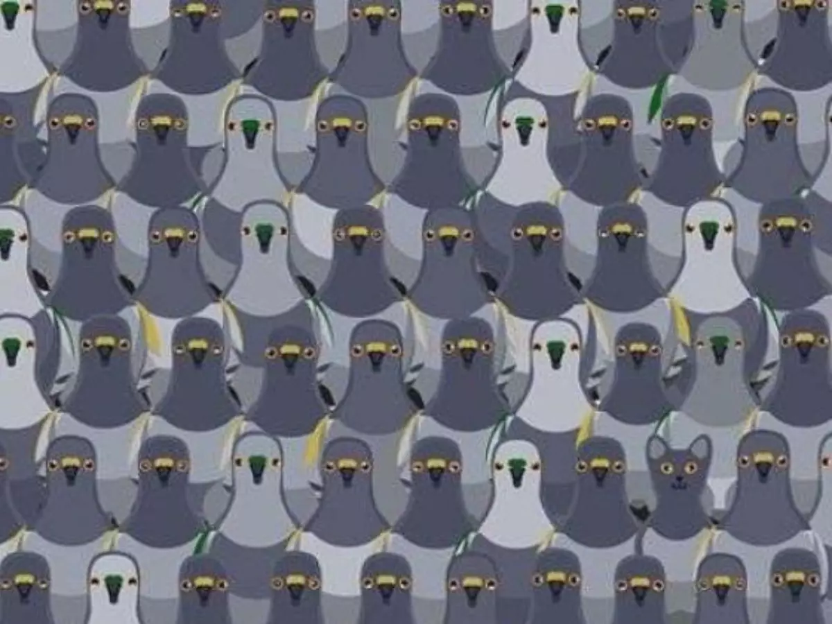 Optical Illusion: Spot The Cat Among Pigeons In 8 Seconds