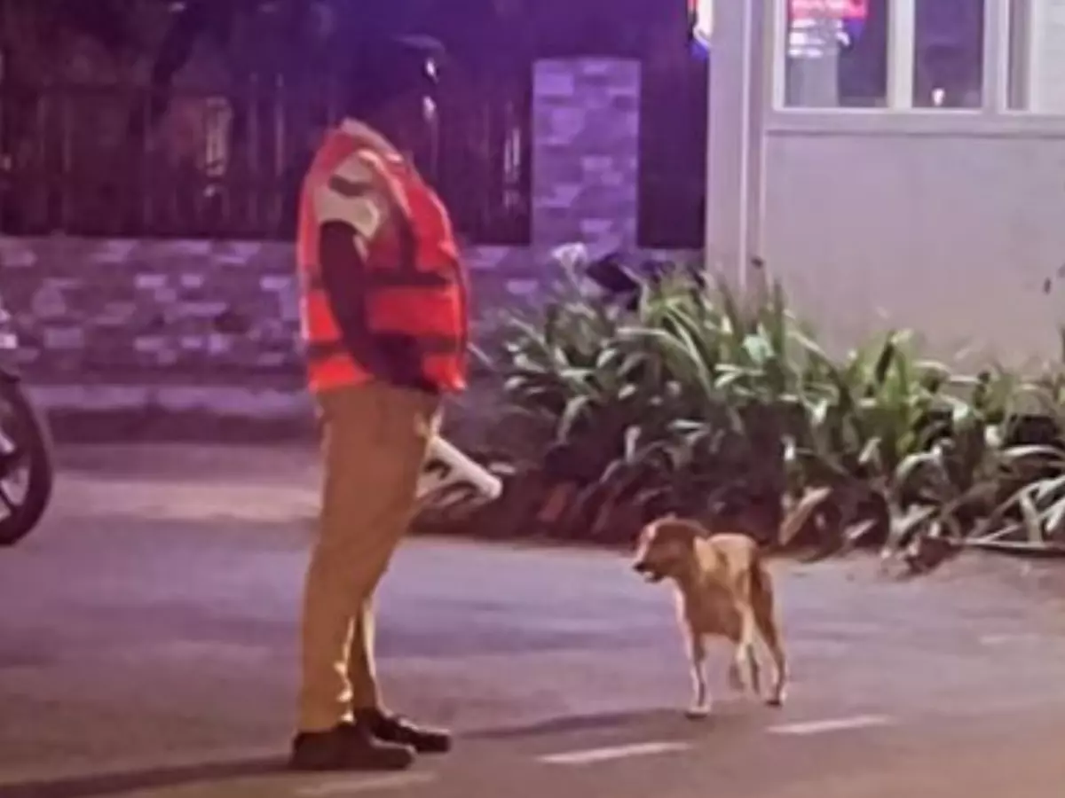 Viral Video Traffic Cop And His 'Paws-itive' Assistant Managing Traffic