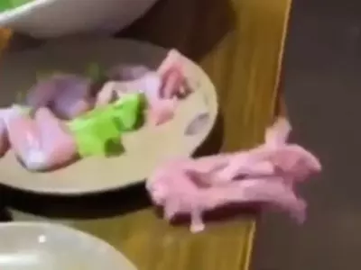 Viral Video 'Zombie' Meat Jumps Off Plate In A Restaurant As Customers Shout