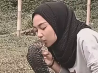 Woman Boldly Kisses King Cobra On The Head