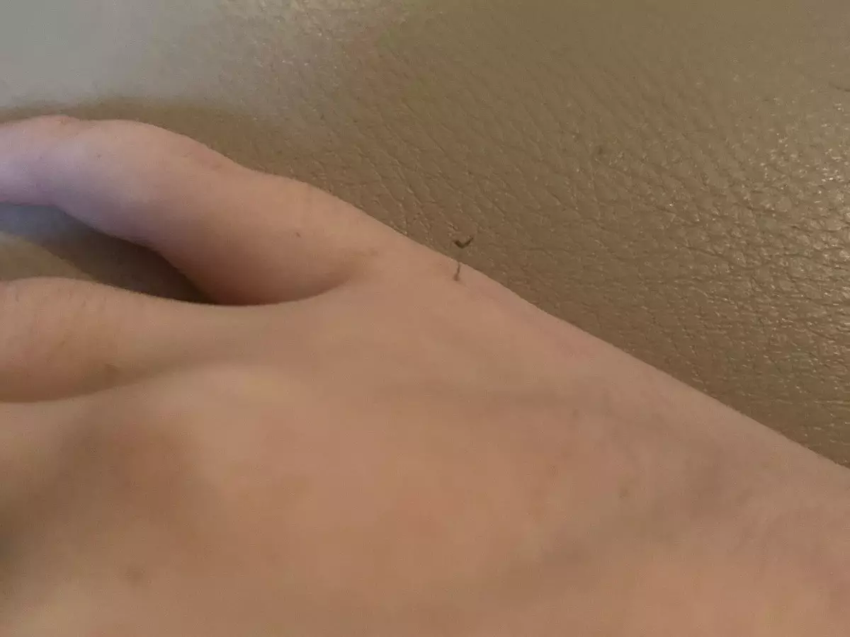 flower growing out of hand