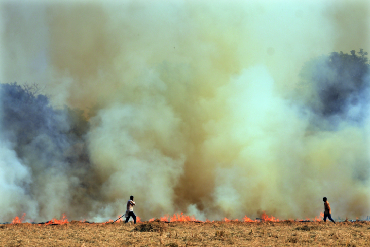Environment laws toothless', Supreme Court on failure to penalise stubble  burning
