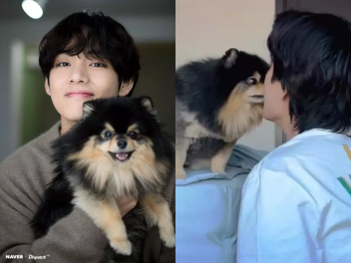 'Tannie, you will always be famous': BTS' V aka Kim Taehyung's dog ...