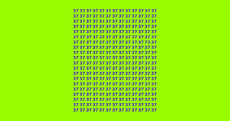 確認(⌯¤̴̶̷̀ω¤̴̶̷́)✧✩.*˚ fb_67ed483ea3b61.jpg