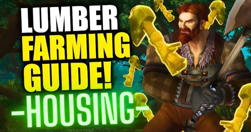LUMBER FARMING 101 visual data 8