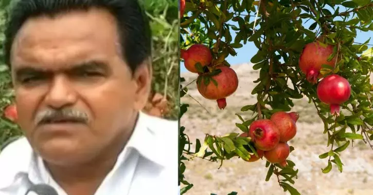 Top 10 Richest Millionaire Farmers In India - Geena Bhai Patel