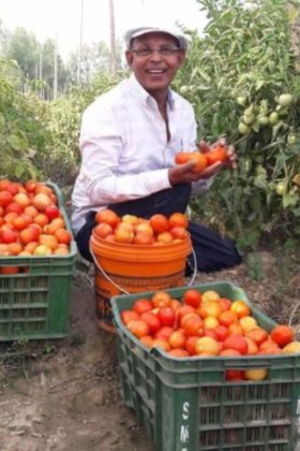 List of the top 10 millionaire farmers in India: Nituben Patel is ranked 1