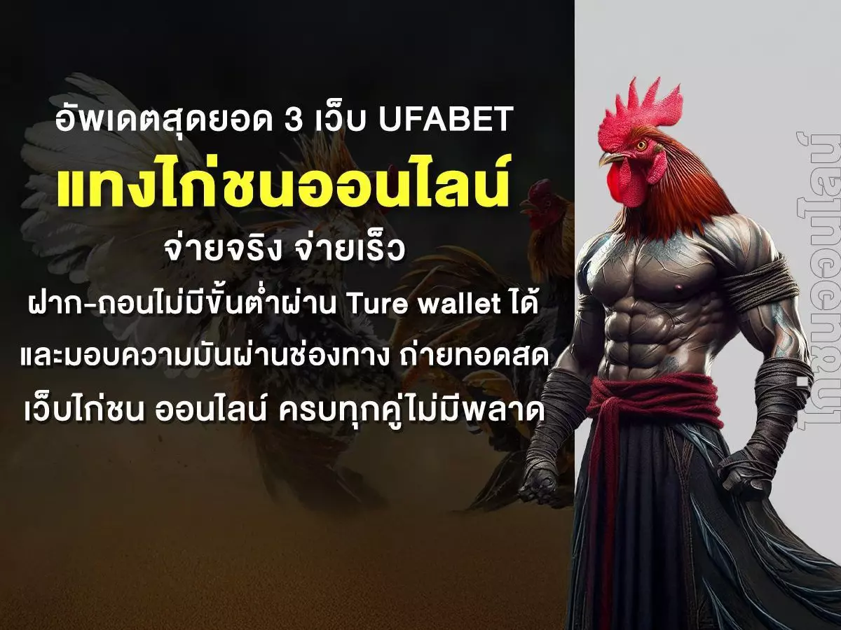 hen-1200x900-67b6d09fa3cfb แทงไก่ชนออนไลน์