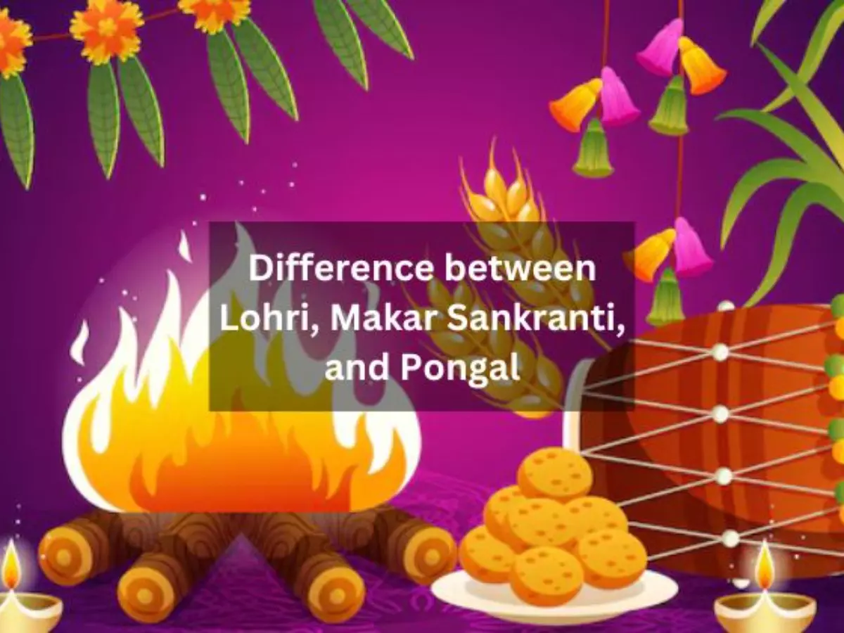 Difference between Pongal, Makar Sankranti, and Lohri