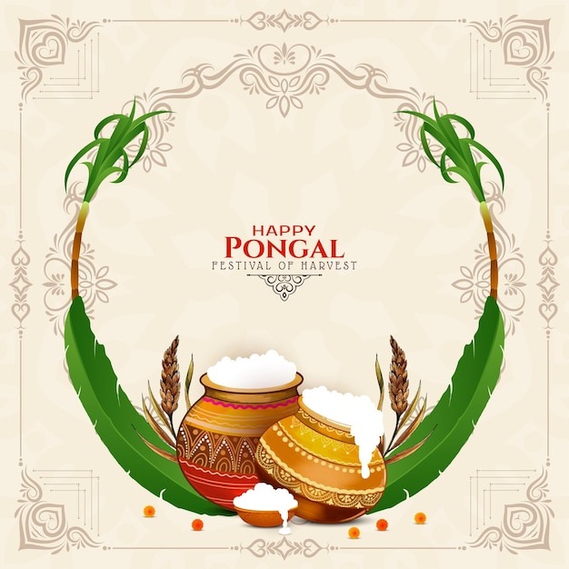 Pongal 2025 Know All About FourDay Harvest Festival