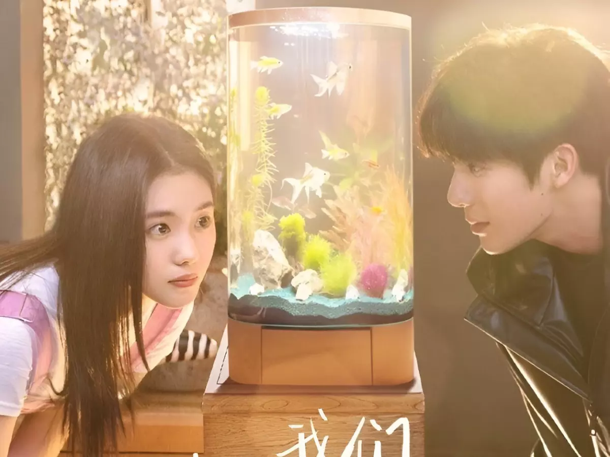Be Passionately in Love watch episode 1 to 24 Be Passionately in Love watch episode 1 to 24