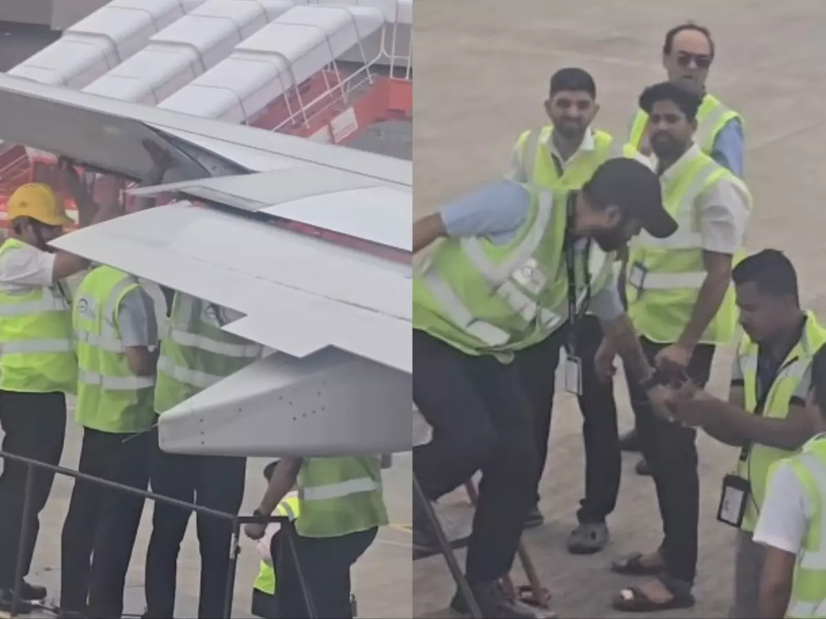 Air India flight delayed after bird nest found in aircraft wing | Credit: Instagram | @rajnesh_choudhary_india Air India flight delayed after bird nest found in aircraft wing | Credit: Instagram | @rajnesh_choudhary_india