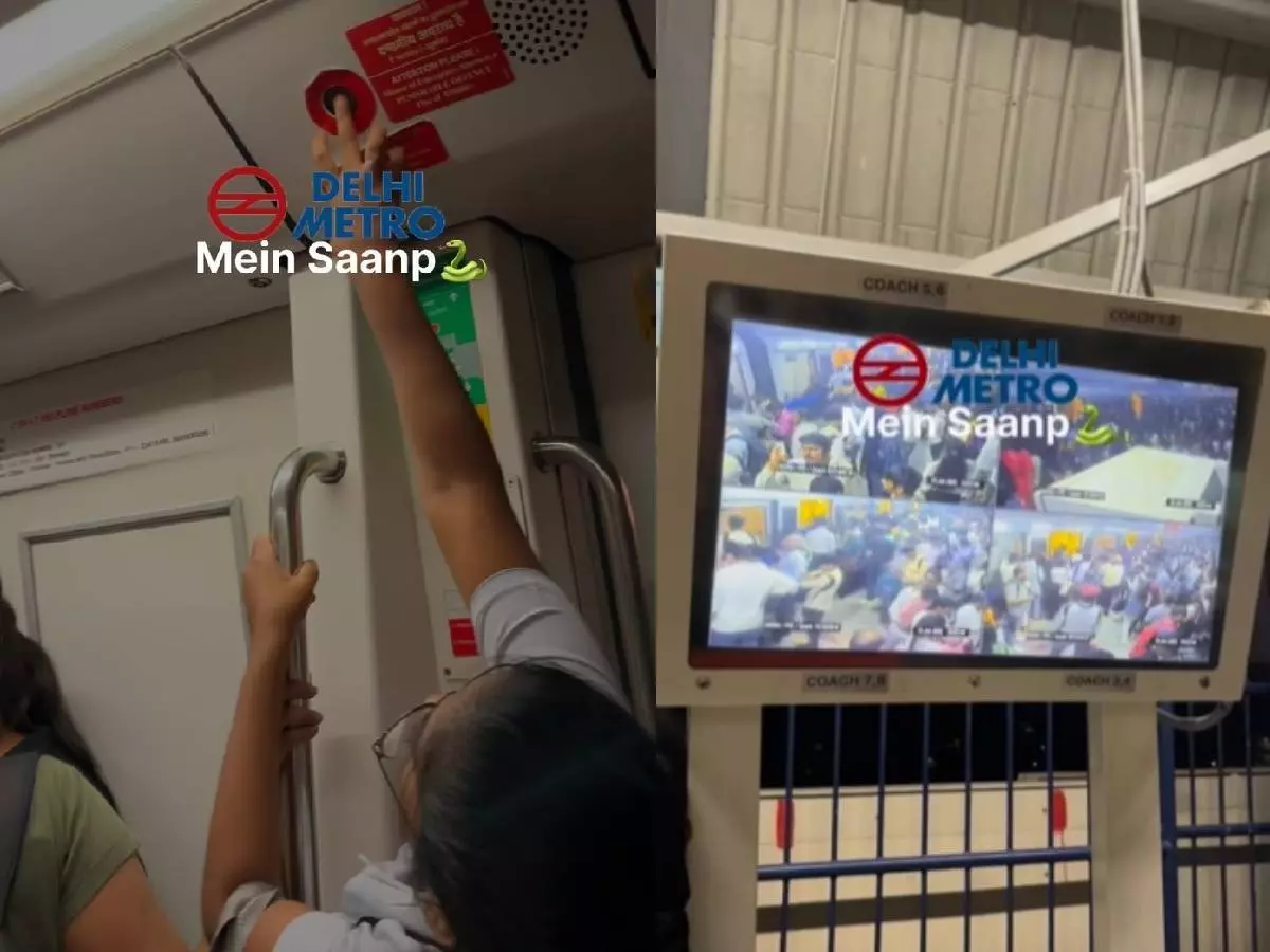 Snake in Delhi Metro leaves ladies¡¯ coach into panic | Credit: Instagram/chauhankeerty Snake in Delhi Metro leaves ladies¡¯ coach into panic | Credit: Instagram/chauhankeerty