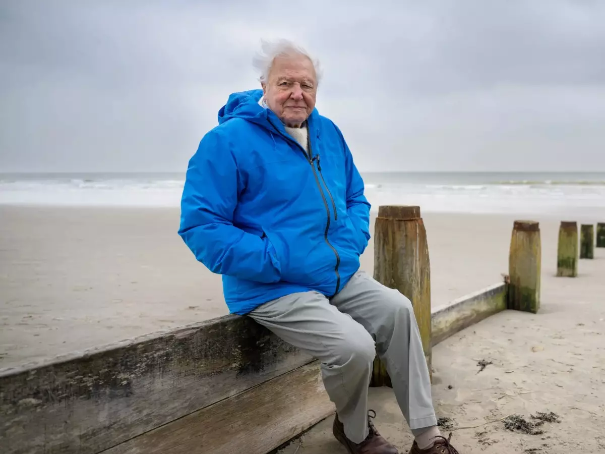 Ocean with David Attenborough OTT Release Date Ocean with David Attenborough OTT Release Date