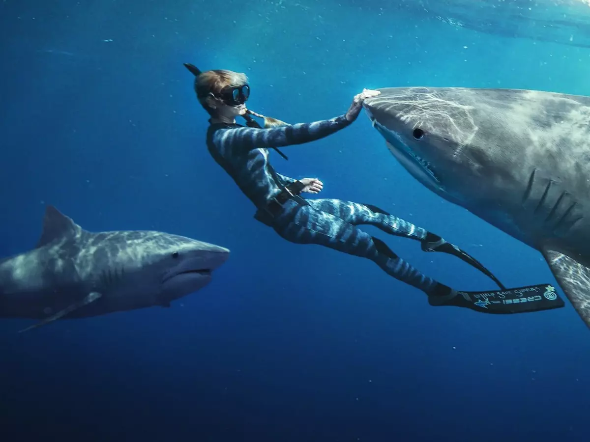 Shark Whisperer OTT Release Date Shark Whisperer OTT Release Date
