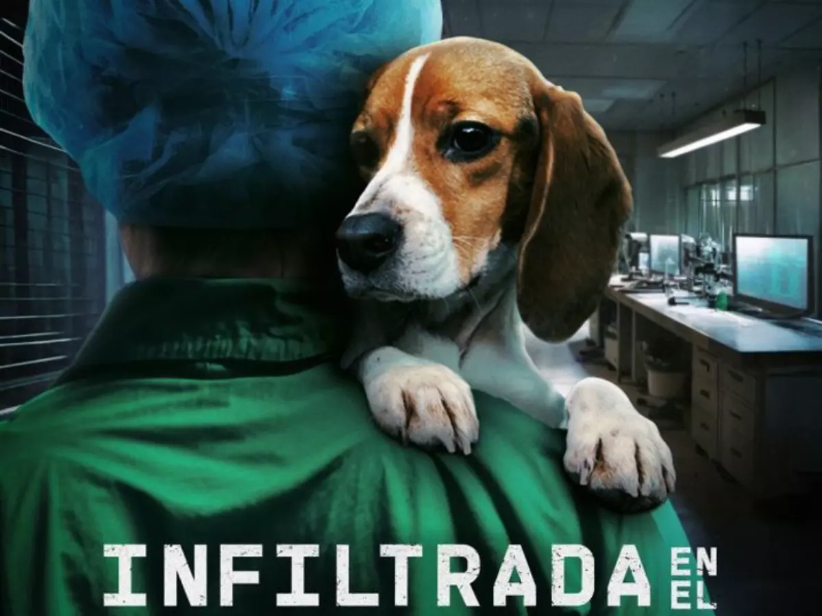 Infiltrada en el bšČnker OTT Release Date Infiltrada en el bšČnker OTT Release Date