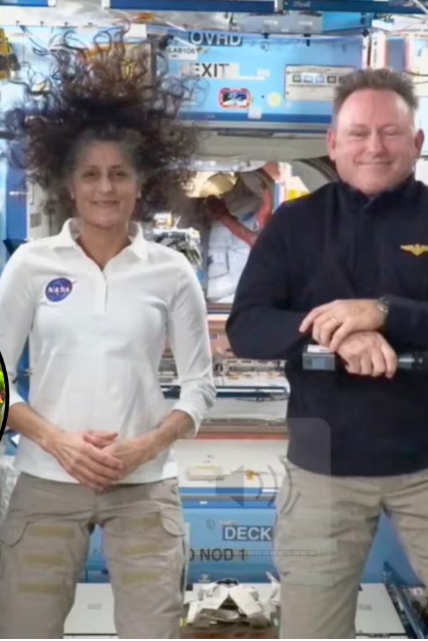 What Sunita Williams and Butch Wilmore’s ate for 9 months in ISS?