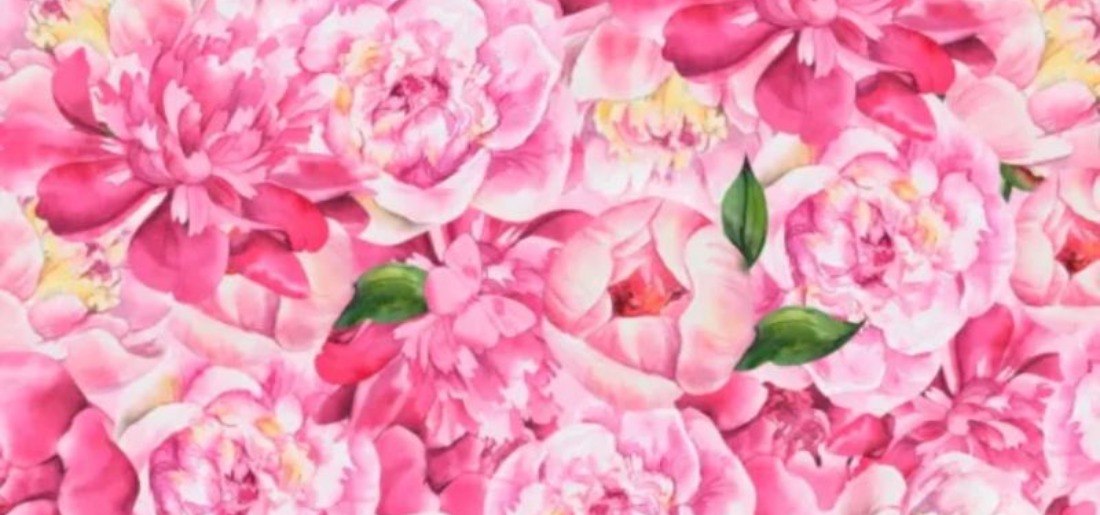Optical Illusion: Find the butterfly in this stunning pink roses image