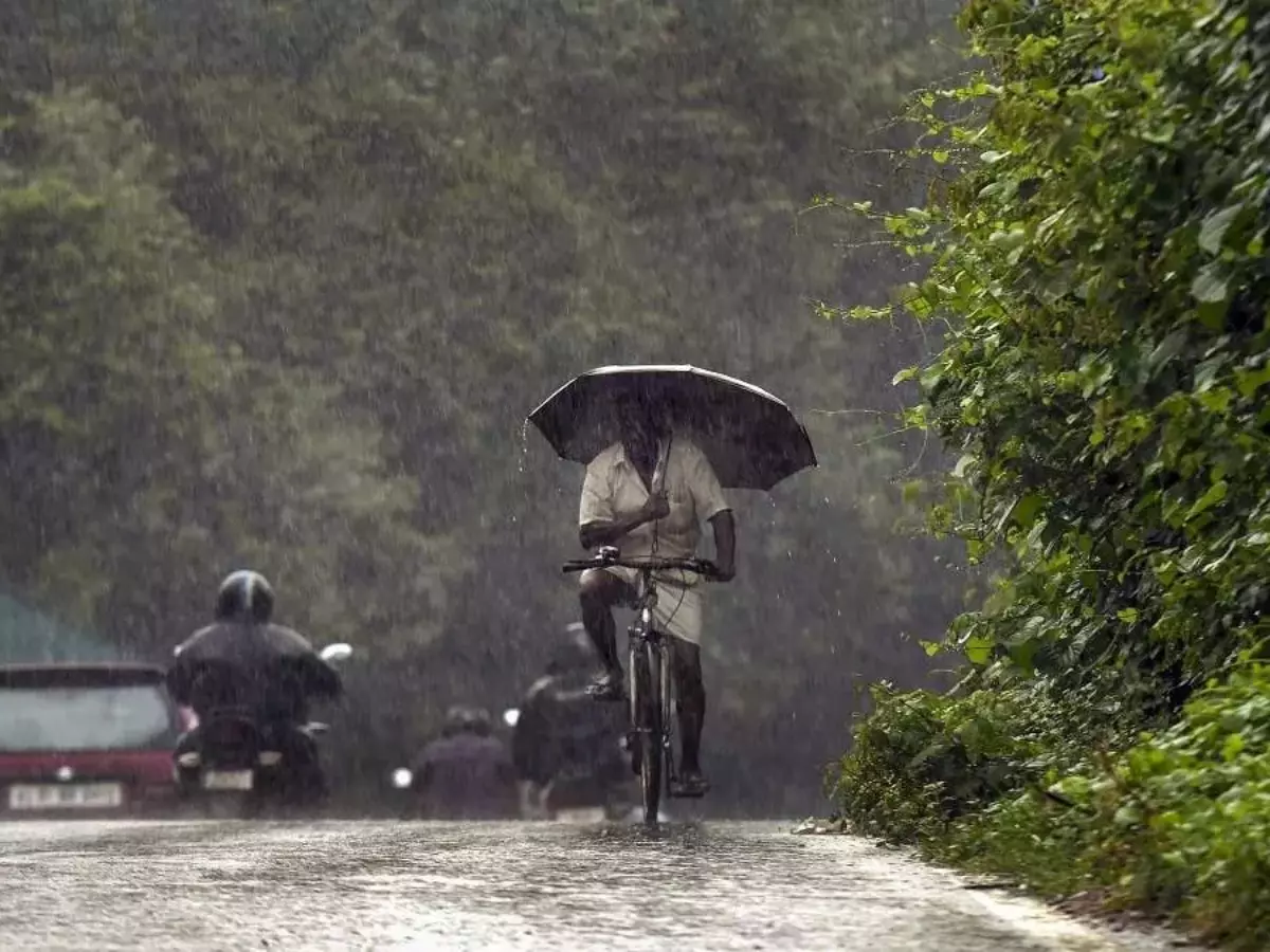 Monsoon to hit Kerala within 24 hours; check state-wise forecast | Credit: PTI Monsoon to hit Kerala within 24 hours; check state-wise forecast | Credit: PTI
