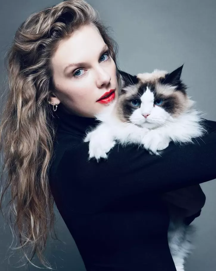 Meredith Grey Is Alive Taylor Swift Dances To Getaway Car With Her meredith-grey-is-alive-taylor-swift-dances-to-getaway-car-with-her