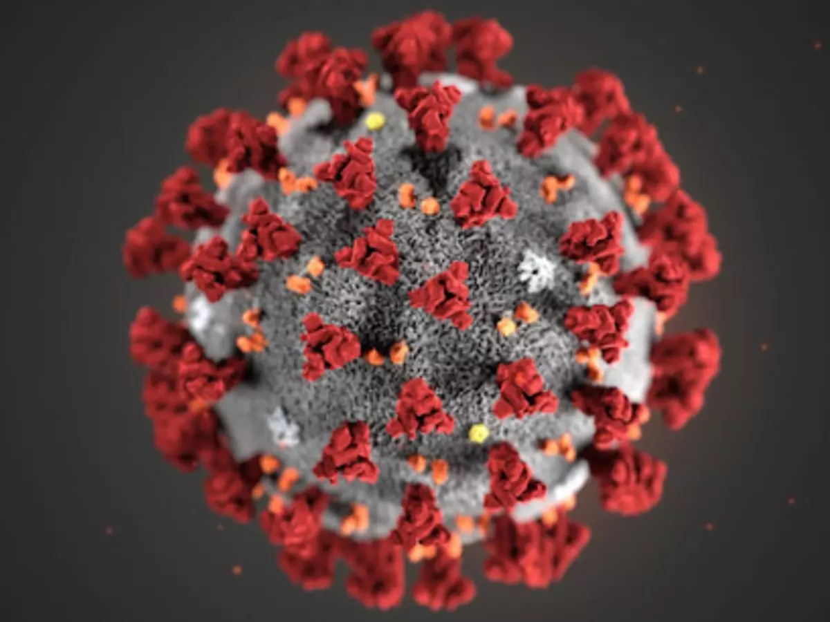 COVID cases urge in South India due to new variants and dense urban spread; Maharashtra & TN lead in daily infections Indiatimes