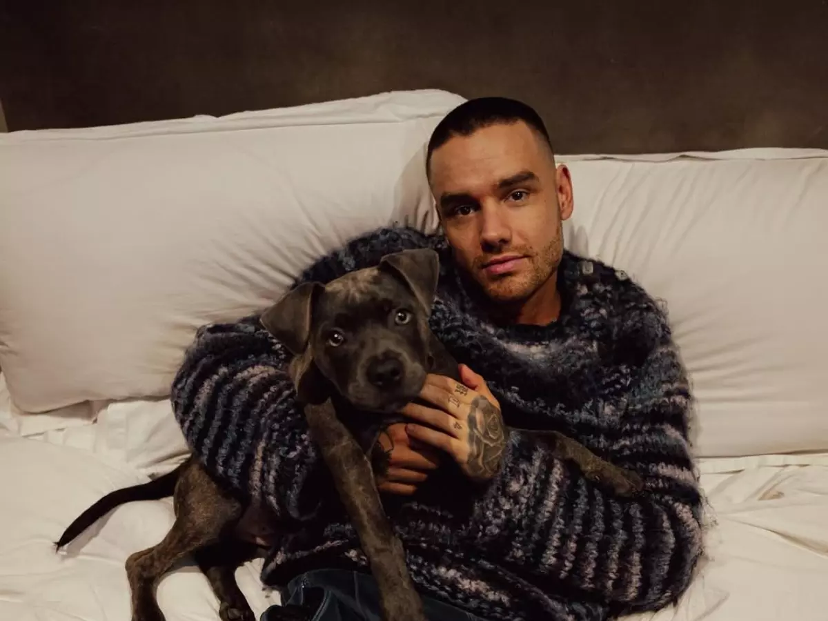Building The Band OTT release: Where to watch Liam Payne's last show Building The Band OTT release: Where to watch Liam Payne's last show