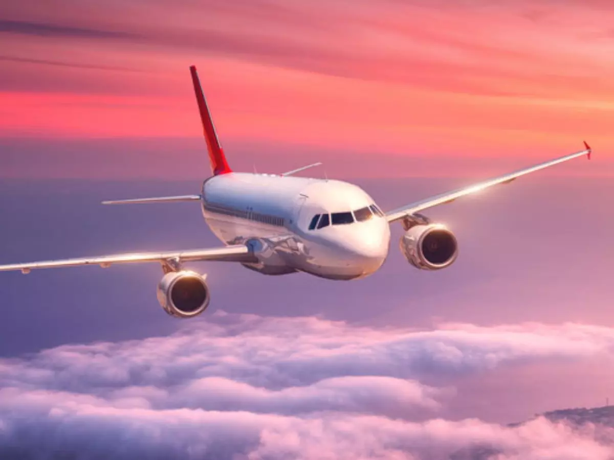 Air India, IndiGo cancel flights Air India, IndiGo cancel flights