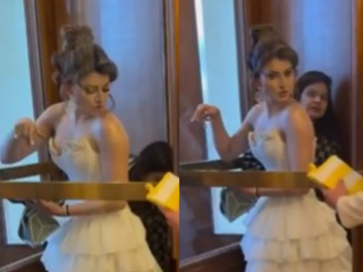 Urvashi Rautela got stuck in revolving door at Cannes | Credit: X Urvashi Rautela got stuck in revolving door at Cannes | Credit: X