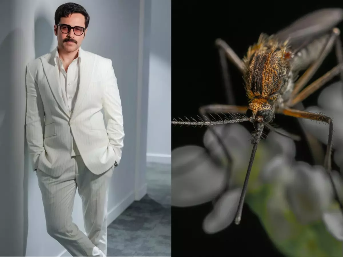 Emraan Hashmi tests positive for dengue during 'OG' shoot | Credit: X | @therealemraan and Pexels Emraan Hashmi tests positive for dengue during 'OG' shoot | Credit: X | @therealemraan and Pexels