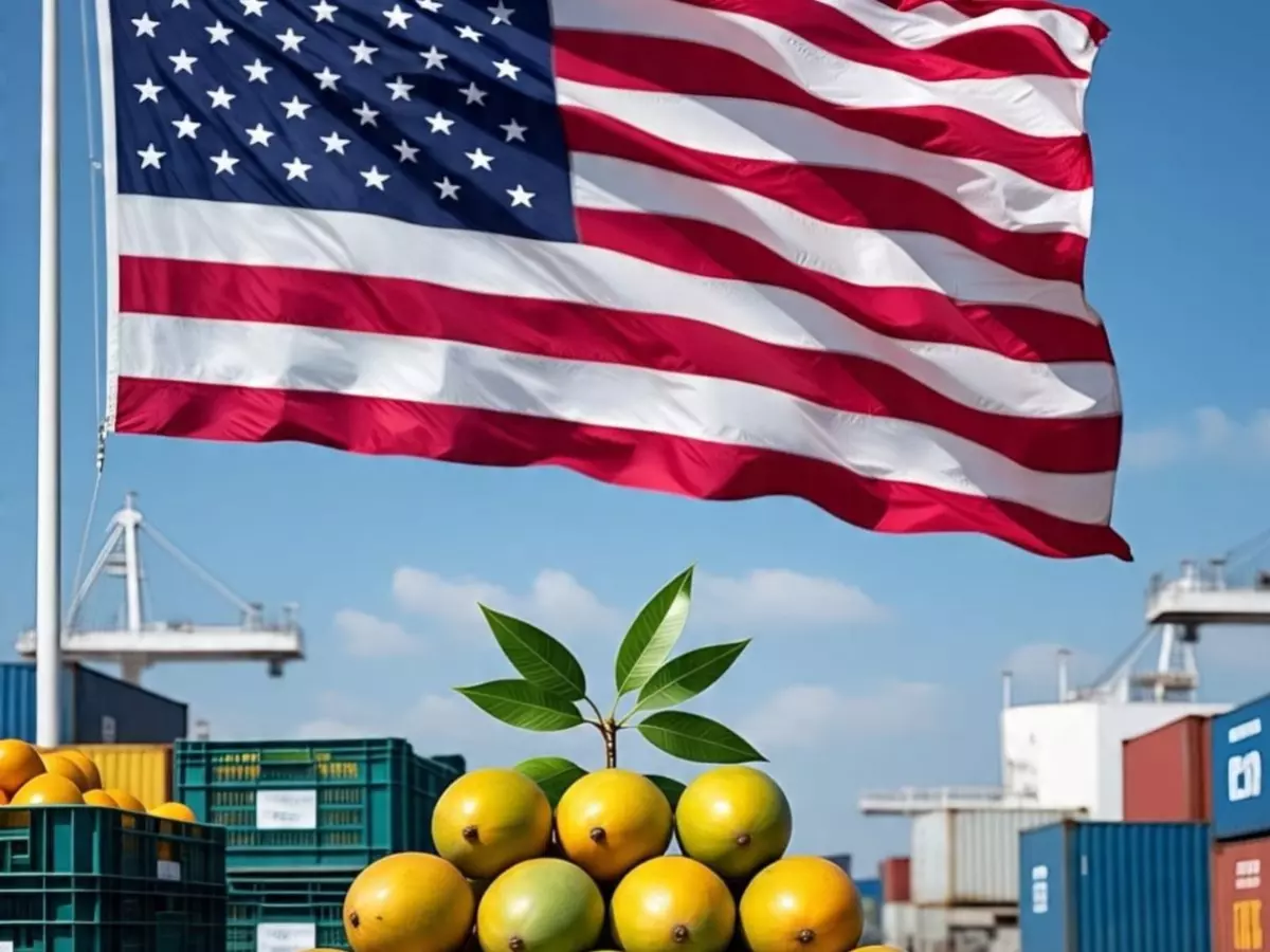 Explainer: How a single paperwork error got 15 Indian mango shipments rejected by the US and left exporters furious Indiatimes