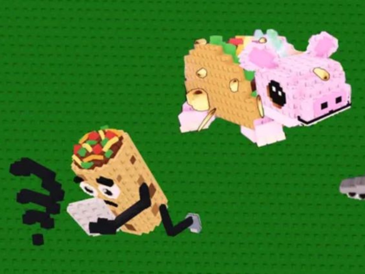 Steal a Brainrot Admin Abuse Taco Tuesday Event Explained (2025)